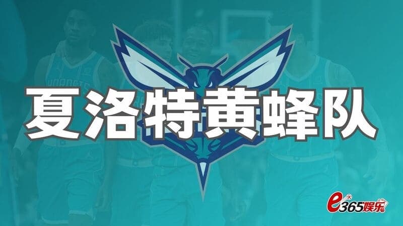 夏洛特黄蜂队、NBA黄蜂队，美职联NBA东部球队介绍