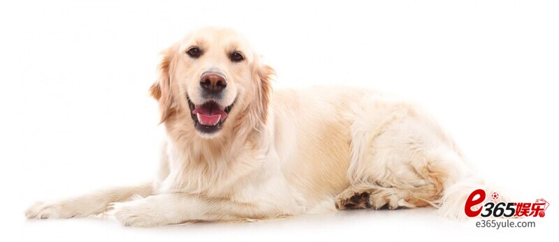 2024得财神爷相助5生肖，快玩你专属的赚钱棋牌游戏