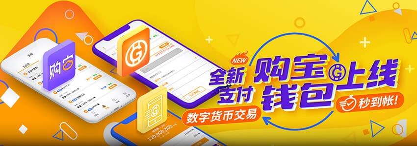 购宝钱包支付上线新手教程，充币提现一次就会