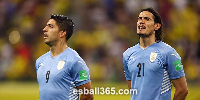 2022足球世界杯晋级球队南美区：乌拉圭