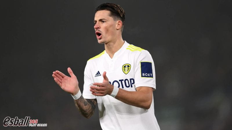 2023夏季转会|英超降级队大甩卖(一)利兹联 2023夏季转会|英超降级队大甩卖(一)利兹联