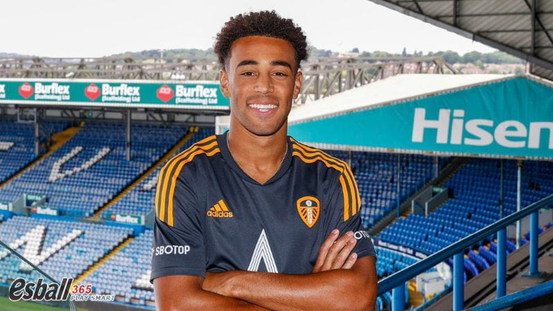 2023夏季转会|英超降级队大甩卖(一)利兹联 2023夏季转会|英超降级队大甩卖(一)利兹联