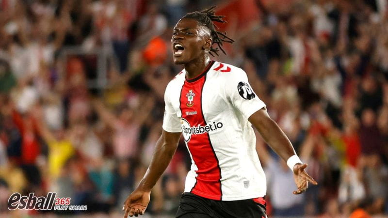 2023夏季转会|英超降级队大甩卖(三)南安普顿 2023夏季转会|英超降级队大甩卖(三)南安普顿