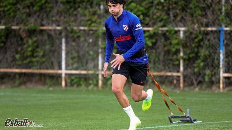 2023夏季转会|只想去巴塞罗那!菲利克斯与马德里竞技撕破脸 2023夏季转会|只想去巴塞罗那!菲利克斯与马德里竞技撕破脸