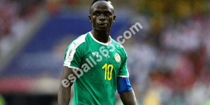 2022卡塔尔世界杯分组A组球队:塞内加尔国家队 2022卡塔尔世界杯分组A组球队:塞内加尔国家队