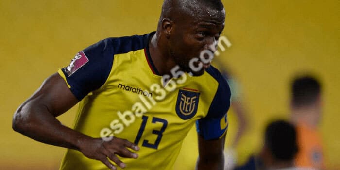 2022卡塔尔世界杯分组A组球队:厄瓜多尔国家队 2022卡塔尔世界杯分组A组球队:厄瓜多尔国家队