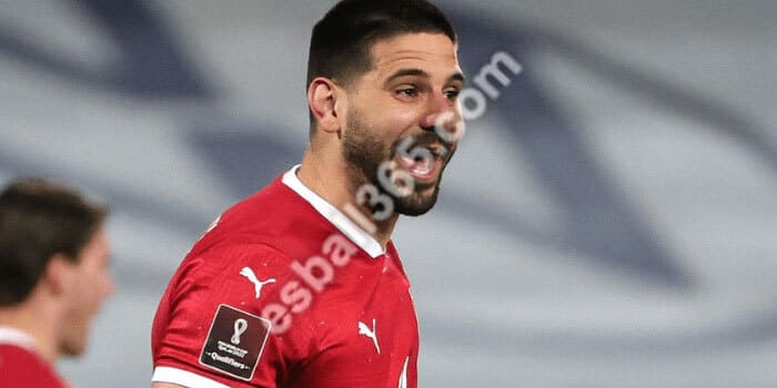 2022卡塔尔世界杯分组G组球队:塞尔维亚国家队 2022卡塔尔世界杯分组G组球队:塞尔维亚国家队